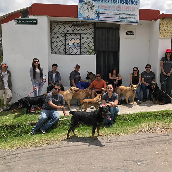 PAE Animal Shelter