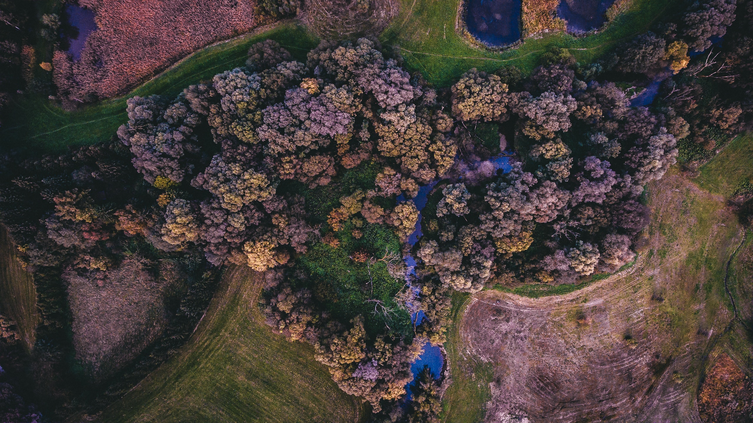 /-/media/vbecom/images/insights/2019/daniel-wallace-kxqna1cdi2o-unsplash.jpg?h=1438&w=2560&hash=66AE005C4D3055BF37C83DFC6501A5D4